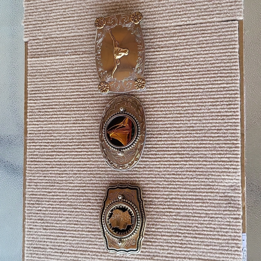 Belt Buckles - Picture 2 of 10